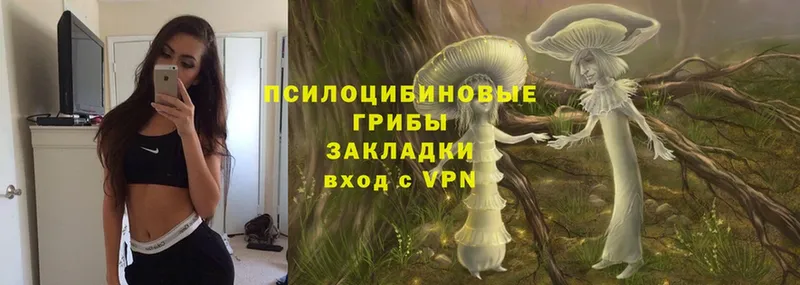 Псилоцибиновые грибы Magic Shrooms  наркотики  МЕГА зеркало  Заозёрск 